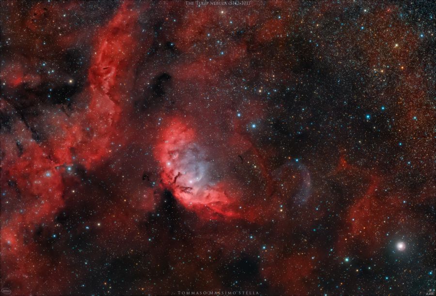 Nebulosa Tulipano Sh2-101