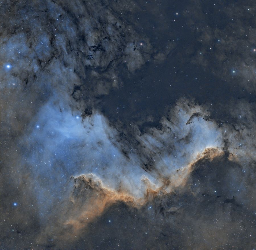 ngc7000 muro del cigno