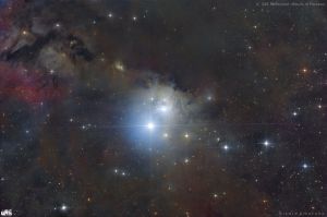 IC348 Reflection nebula in Perseus