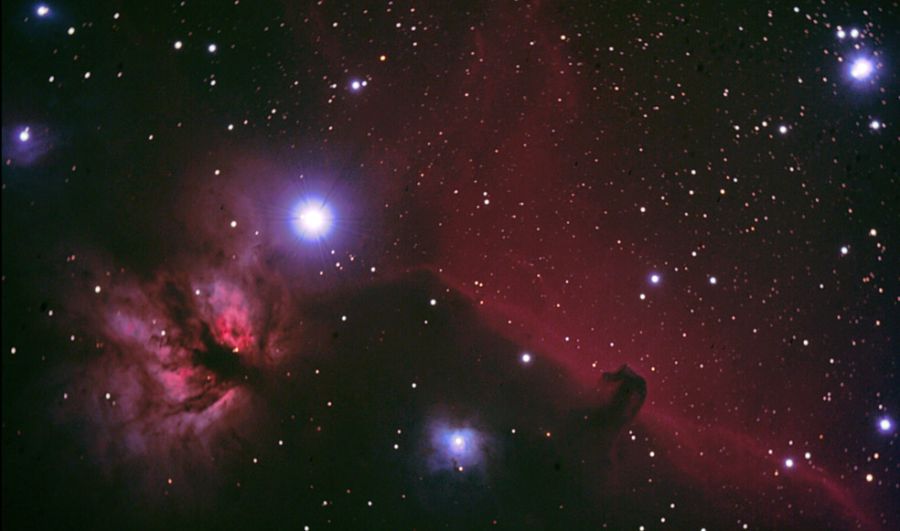 Nebulosa Fiamma e Testa di Cavallo , Dedicata a Daniele