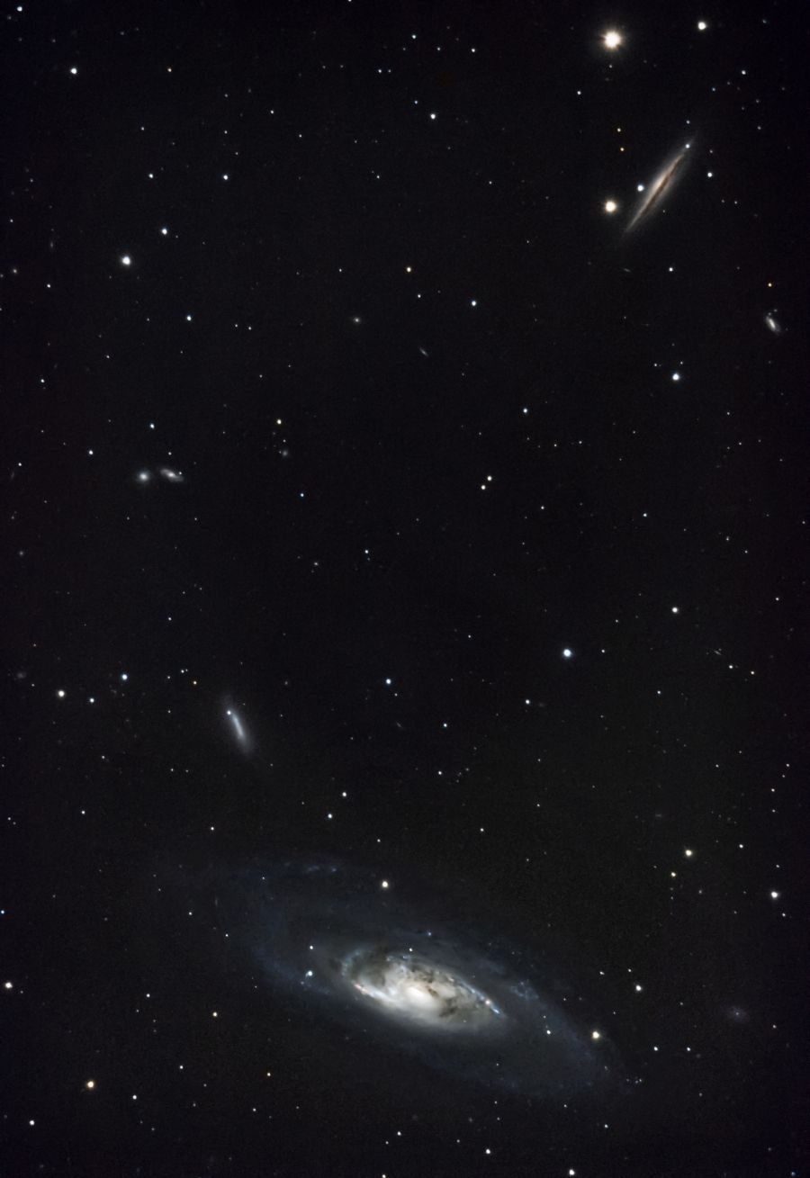 Galassia M106 & company costellazione dei Cani da Caccia