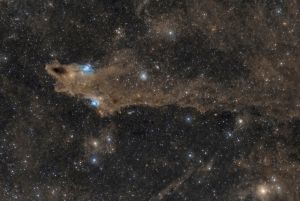 neb. Squalo "Shark Nebula" LDN1235