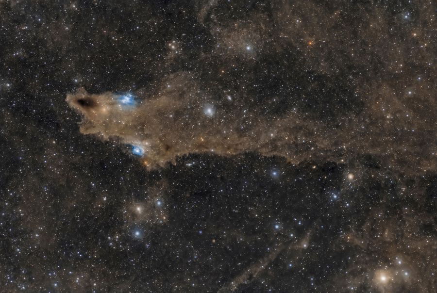 nebulosa Squalo "Shark Nebula LDN 1235"oggetto