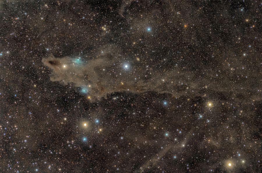 Shark Nebula LDN 1235