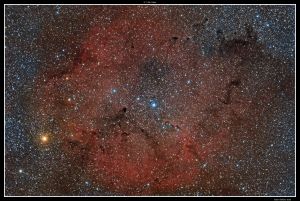 IC1396 