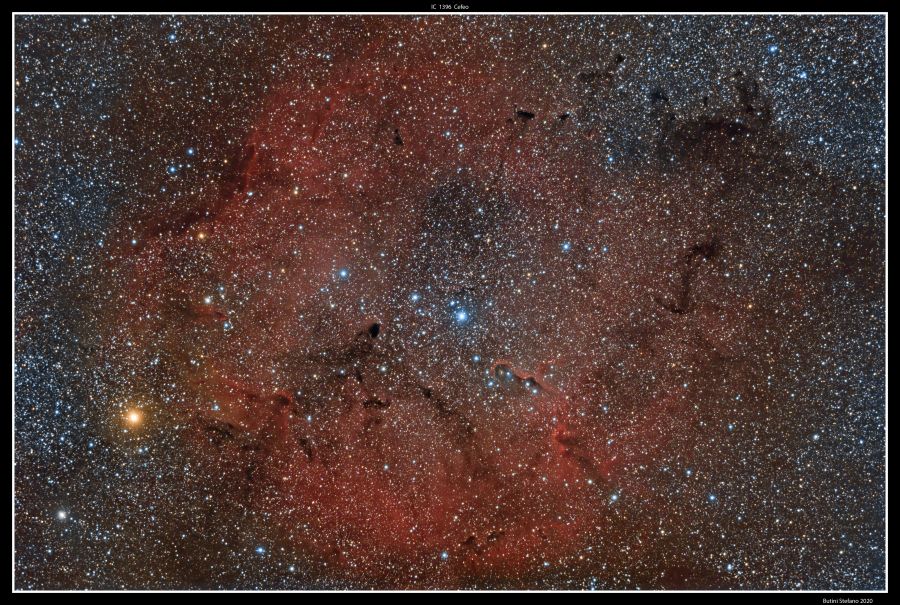 IC1396