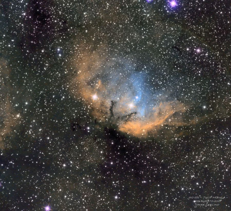 SH2-101 — TULIP NEBULA — SHO