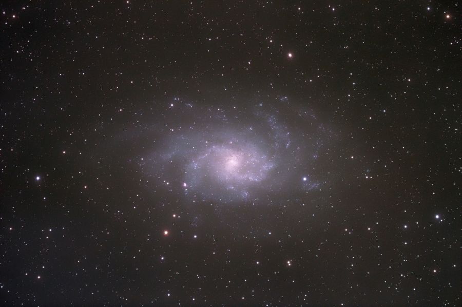 M 33