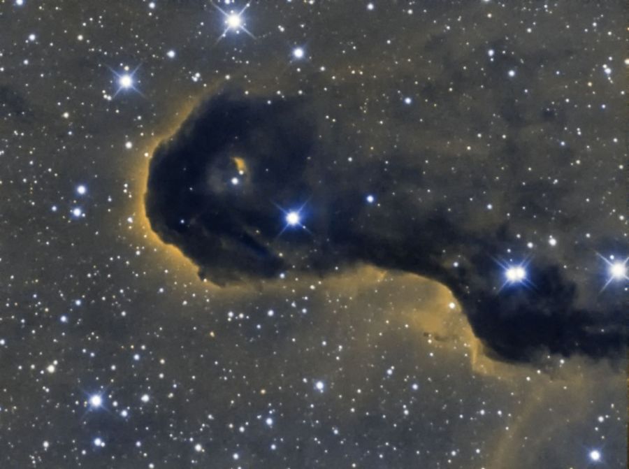 Elephant’s Trunk Nebula