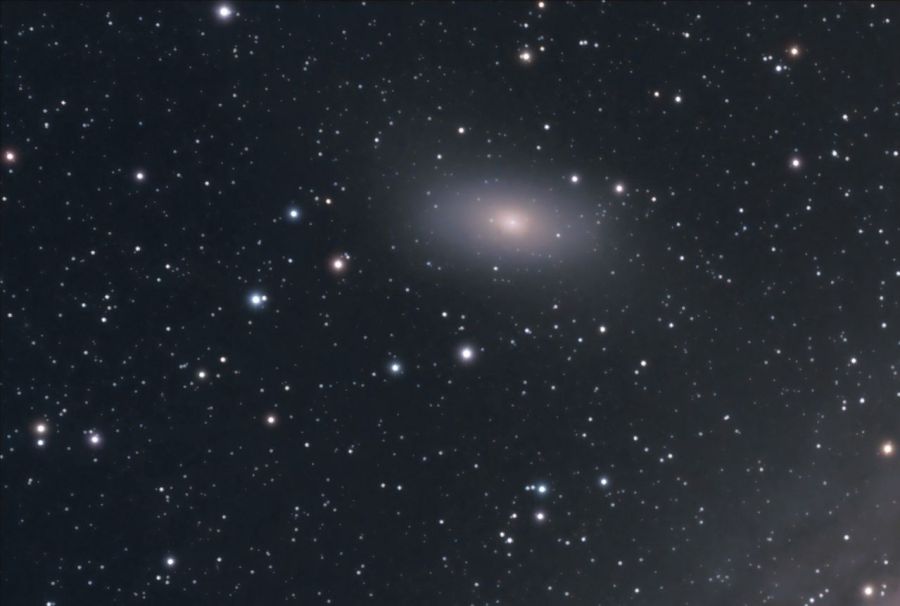 M 31