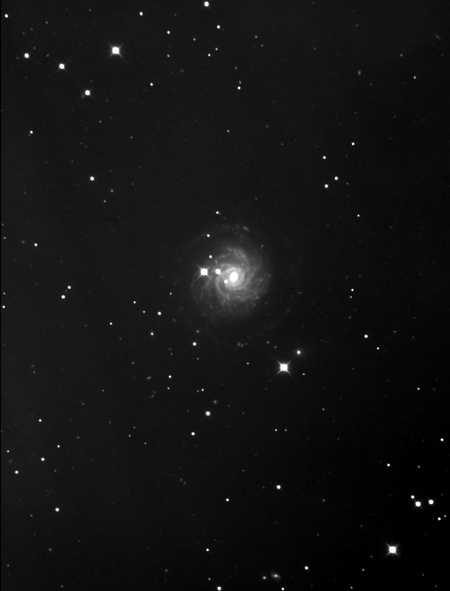 NGC3344