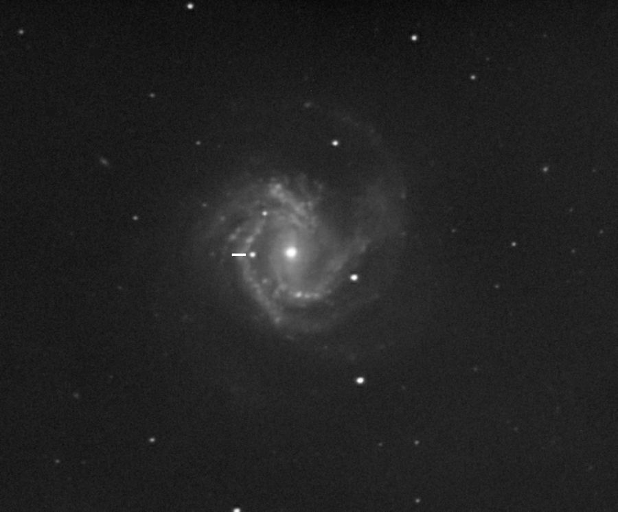 SN 2014dt in M61