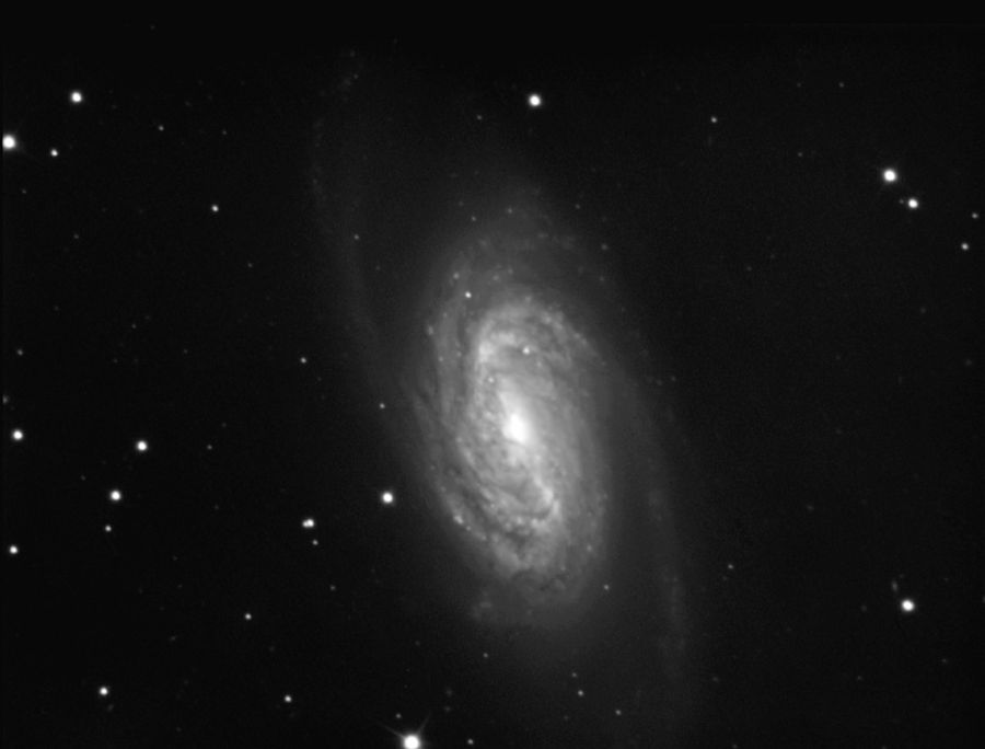 NGC 2903 in Leone