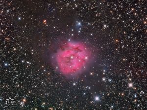 IC 5146 - Cocoon Nebula