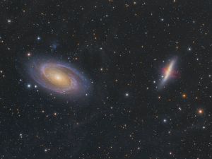 M81-82 con IFN