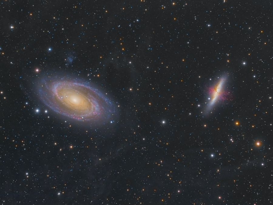 M81-82 con IFN