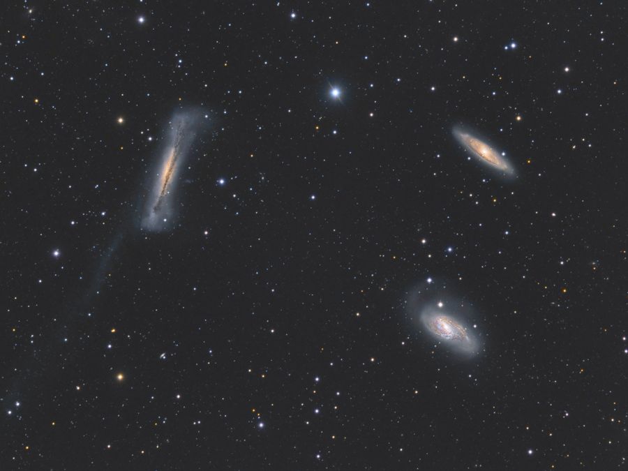 Leo Triplet