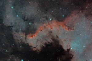 NGC 7000 - Muro del Cigno