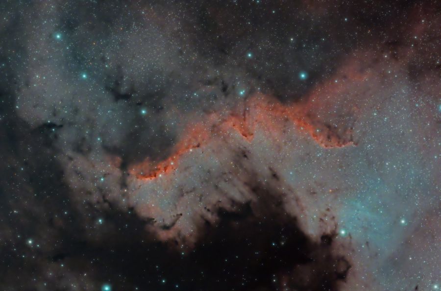 NGC 7000 – Muro del Cigno