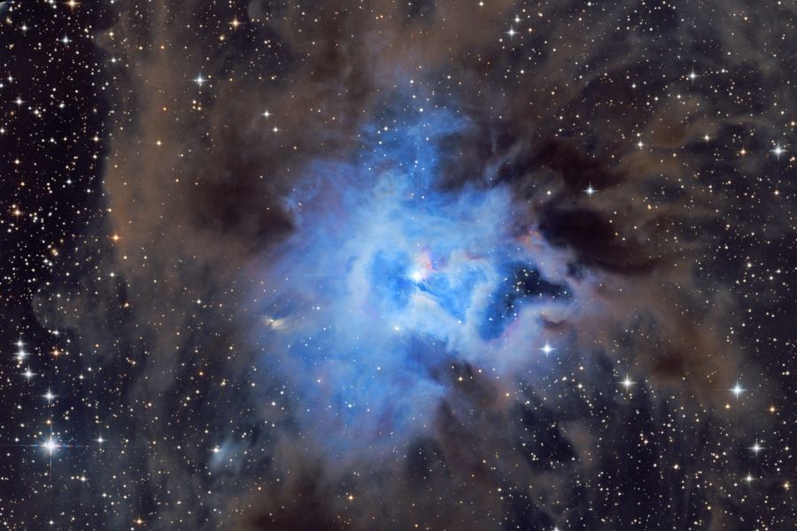 NGC 7023 – Iris Nebula