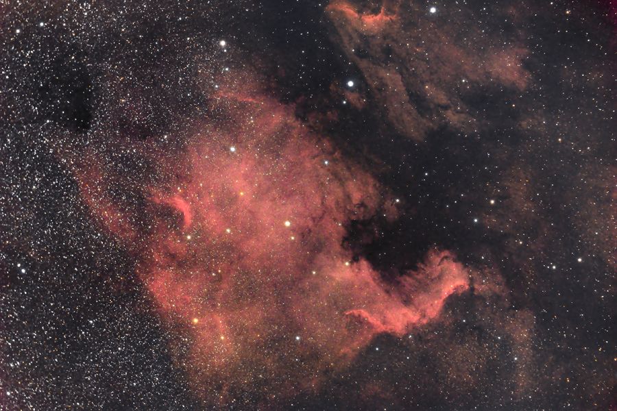 NGC 7000 North America Cygnus