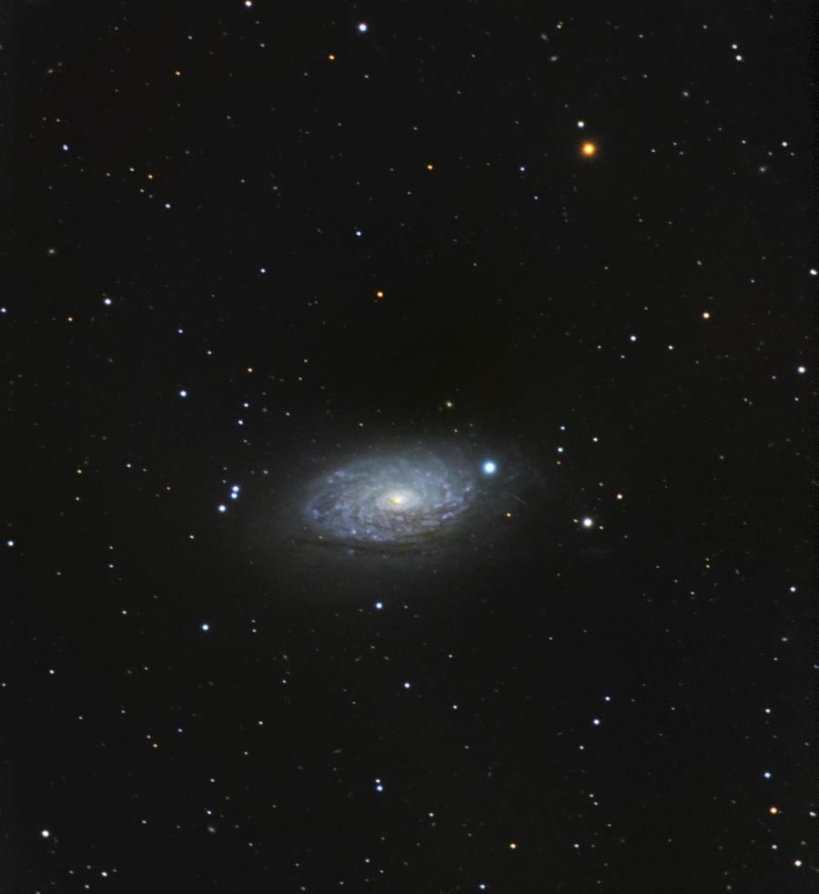 M63