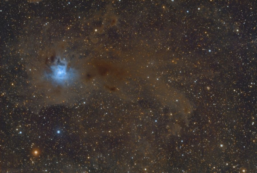 Iris Nebula – NGC 7023