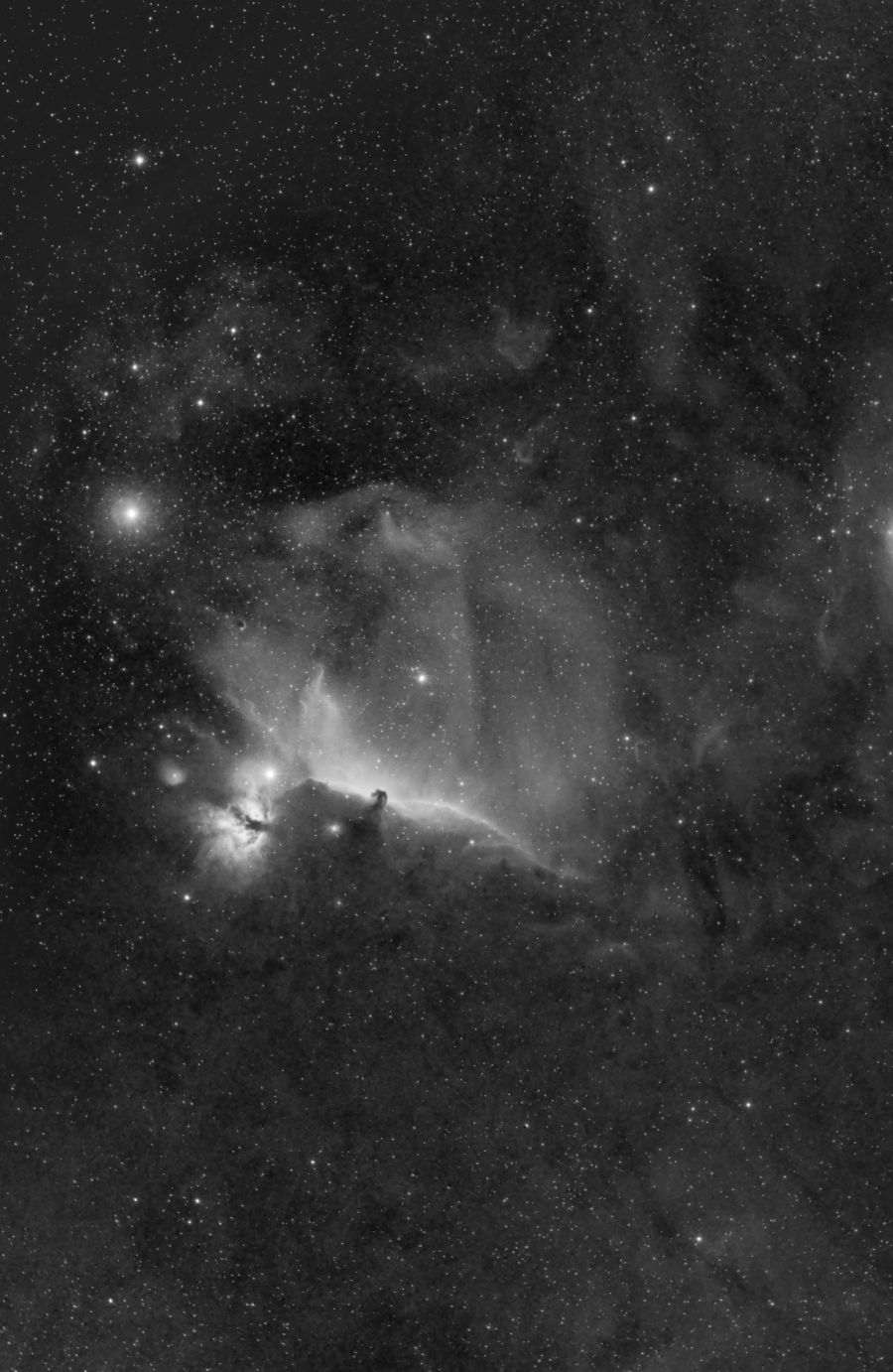 NEBULOSA TESTA DI CAVALLO