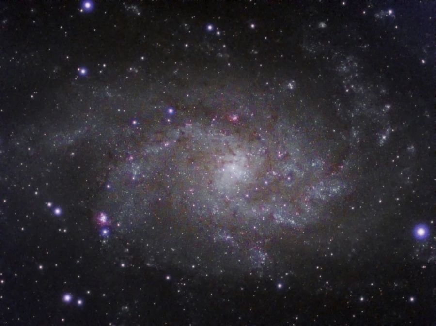 M33