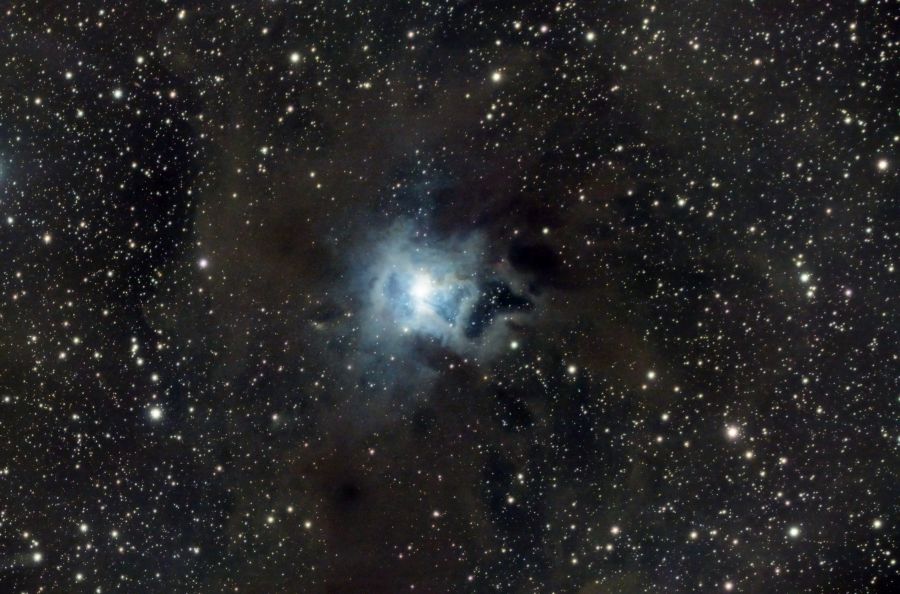 Iris Nebula