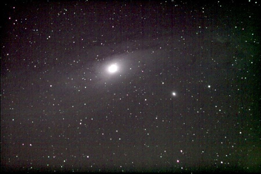 M31