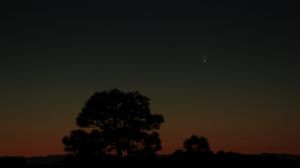 cometa panstarrs marzo 19