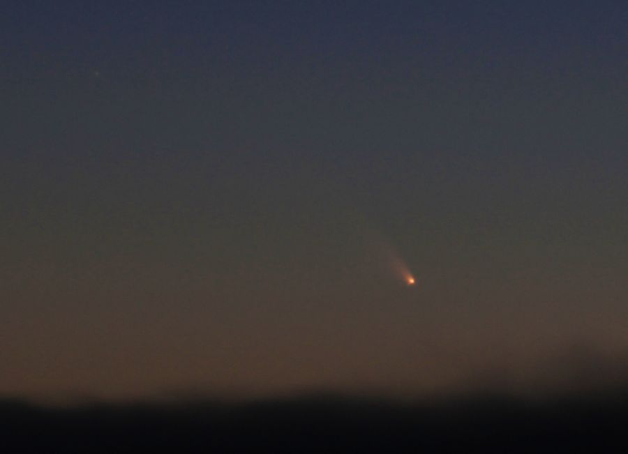 cometa panstarr