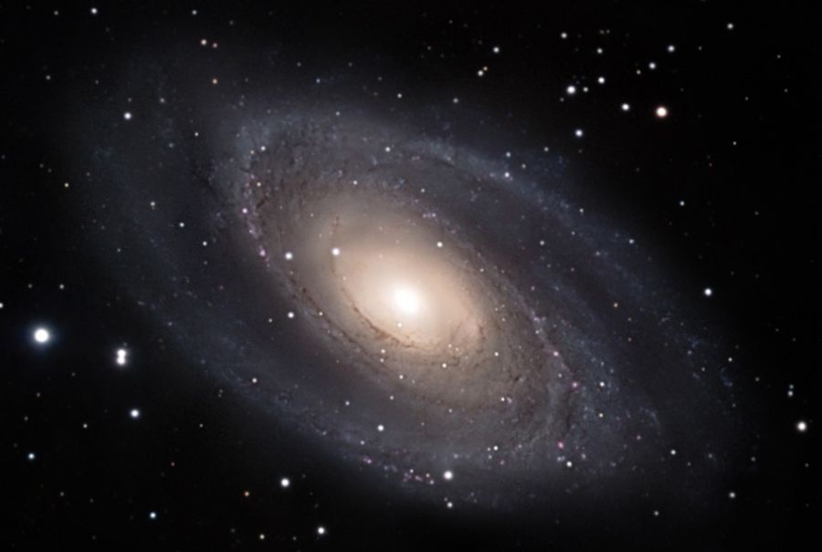 M81