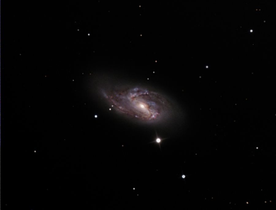 M66