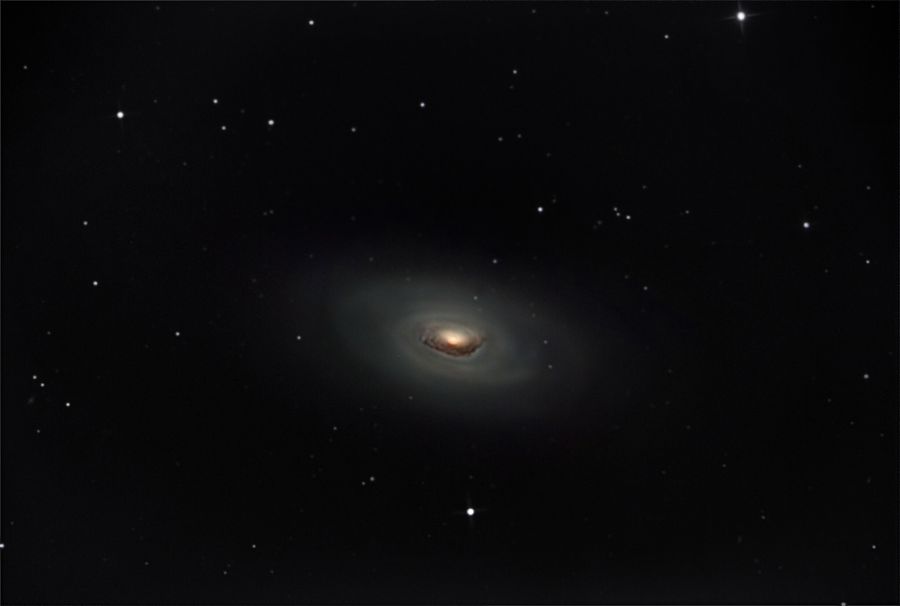 M64