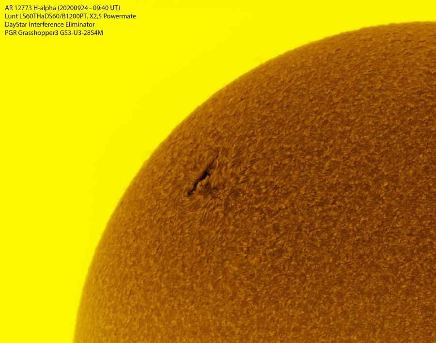 AR 12773 in H-alpha