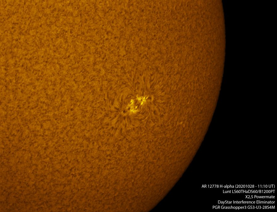 AR 12778 in H-alpha