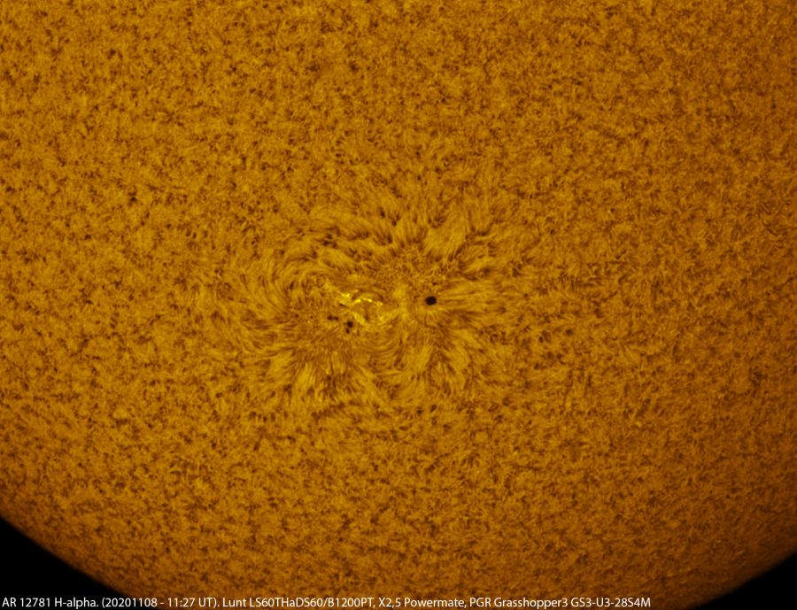 AR 12781 in H-alpha