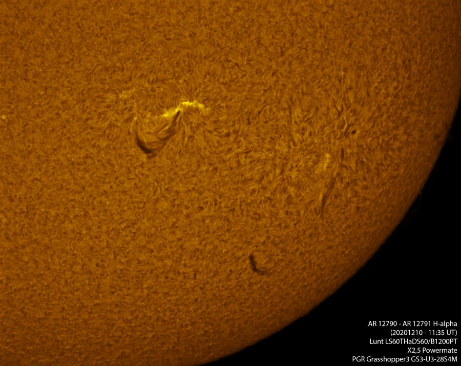 AR12790-AR12791 in H-alpha