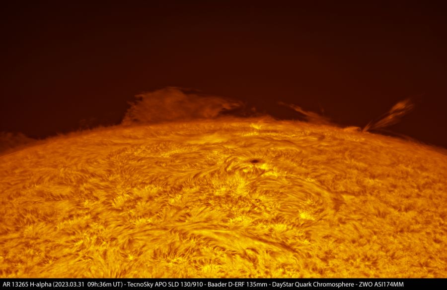 AR 13265 in H-alpha