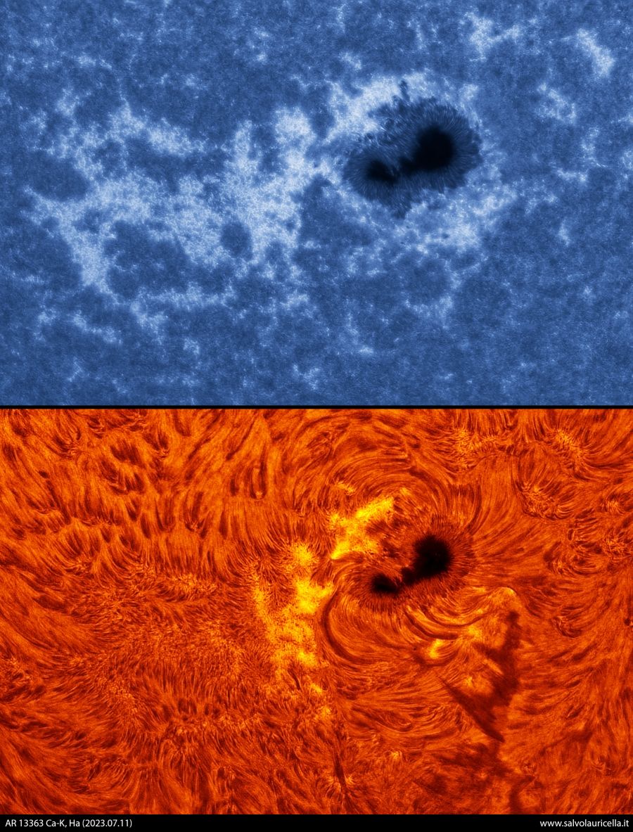 AR 13363 Ca-K/H-alpha