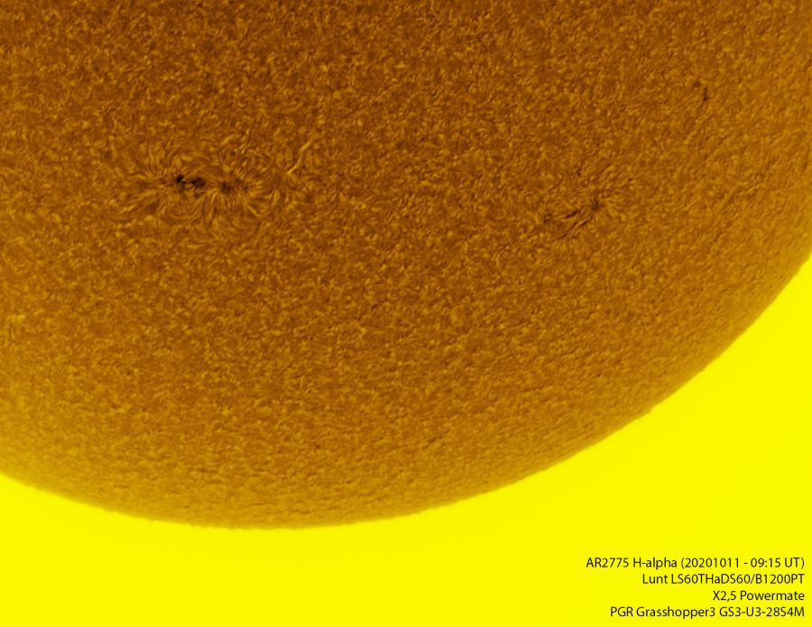 AR2775 in H-alpha