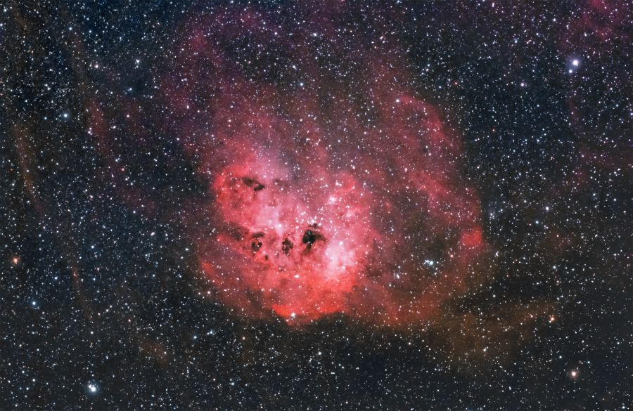 IC 410 Nebulosa Girino