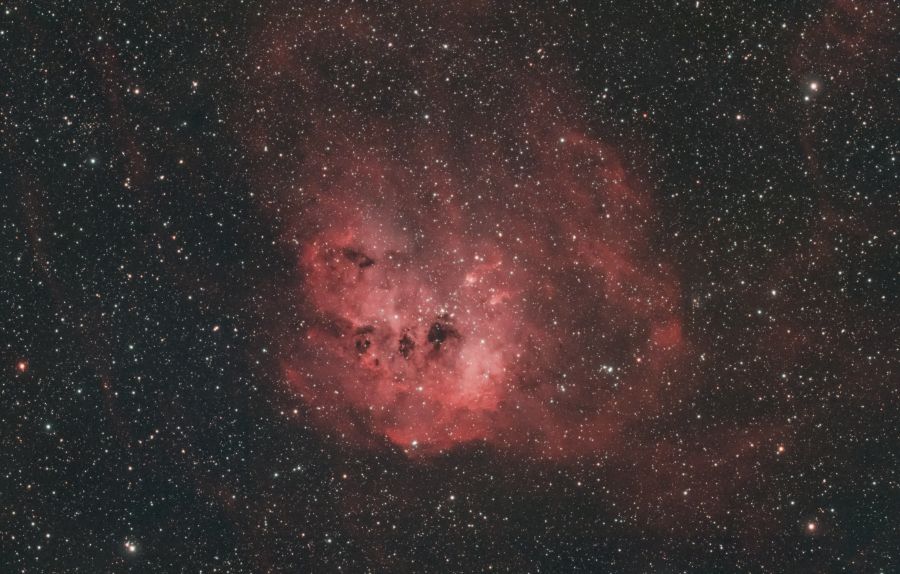 IC 410