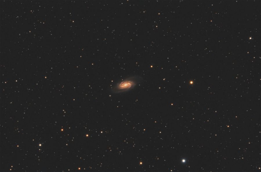 NGC 2903 galassia a spirale barrata