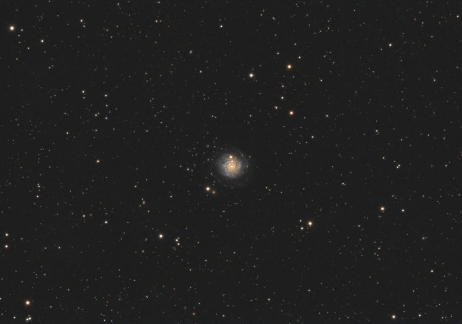 NGC 3344