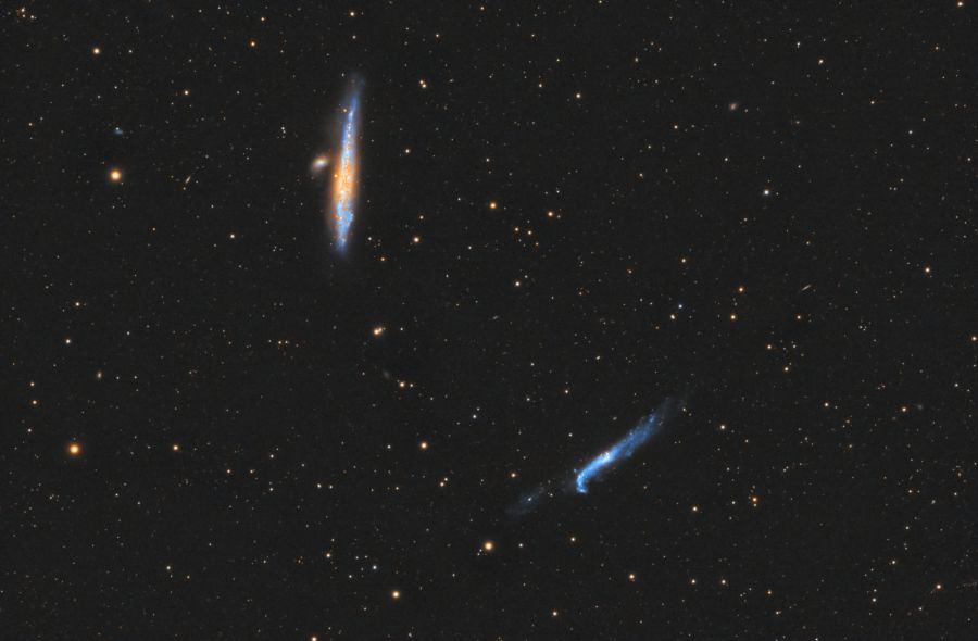 NGC 4631 – NGC 4656 Galassia Balena e Mazza da Hockey