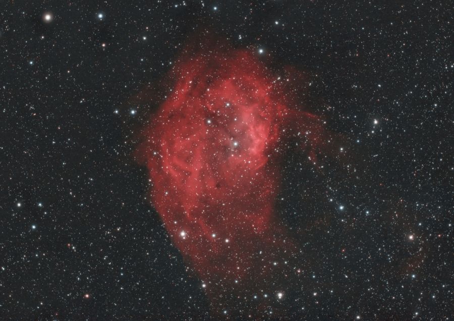 SH2-261 Nebulosa di Lower