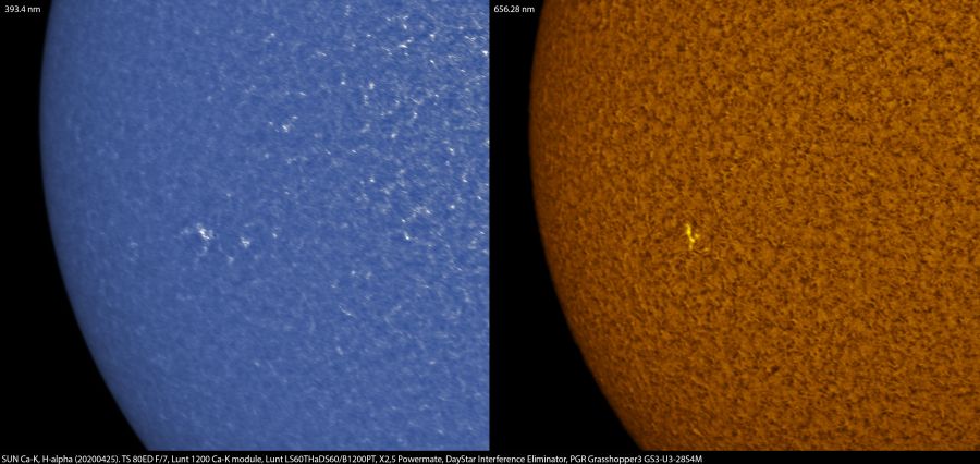 Regione attiva solare in Ca-K e H-alpha